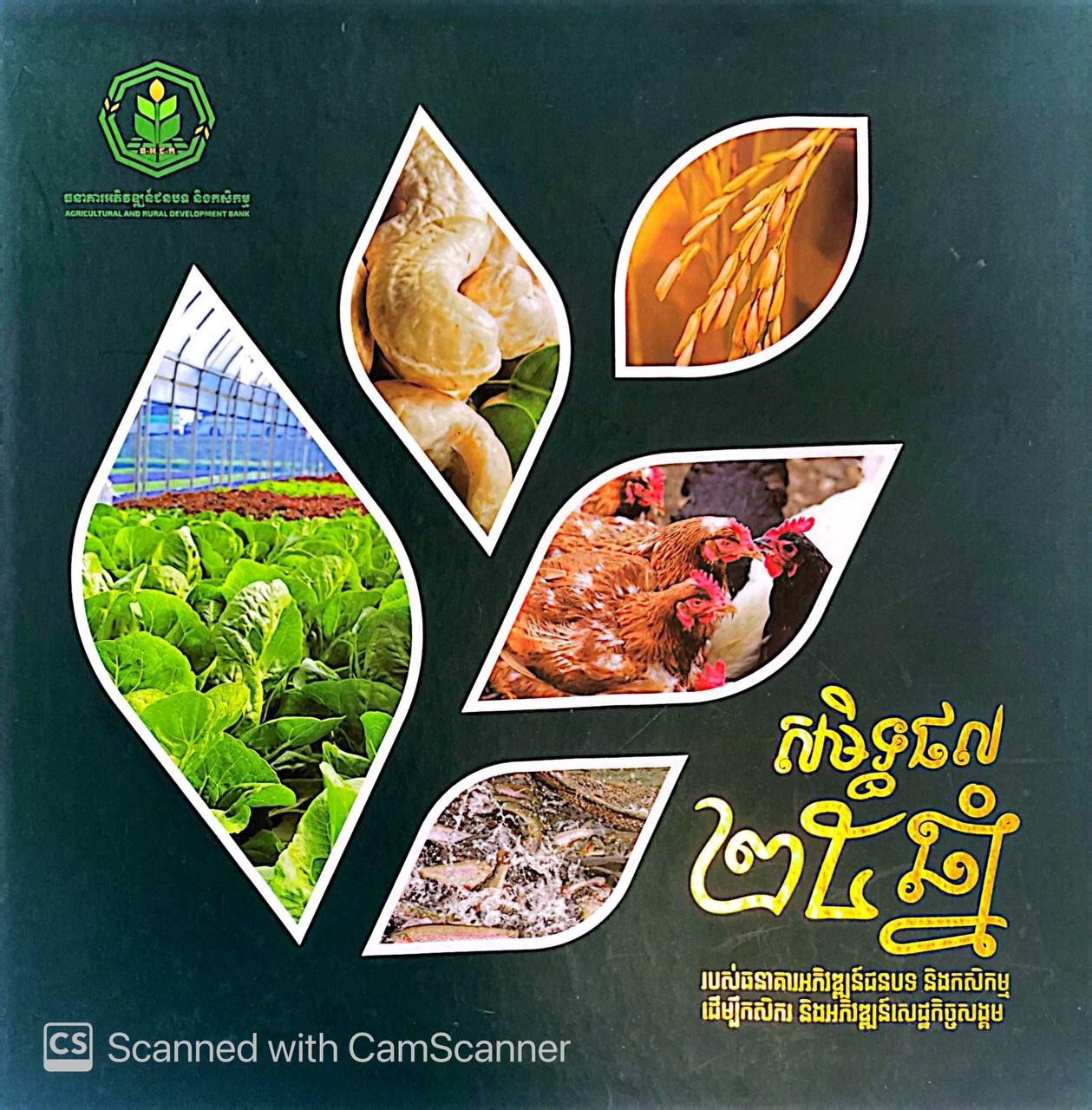 សម្ធិផល២៥ឆ្នាំ